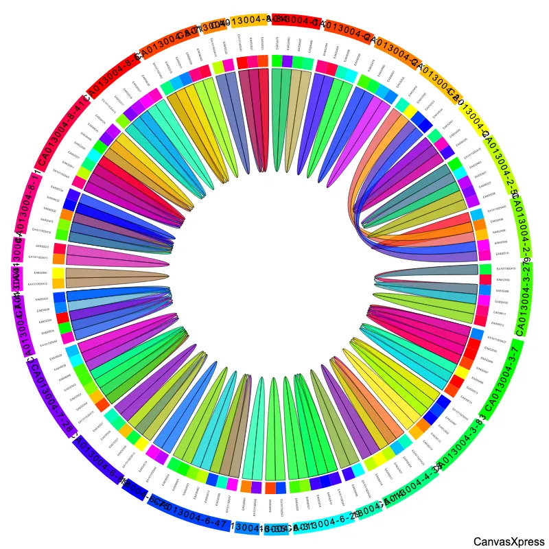Circle Network Visualization Tool