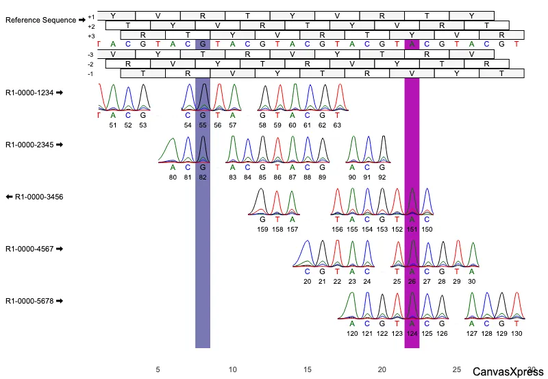 Genome Graphs for Genetic Analysis